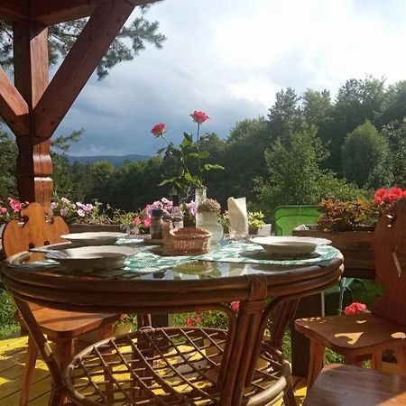 Agroturystyka Millerowka Kamionka Mala  Luaran gambar