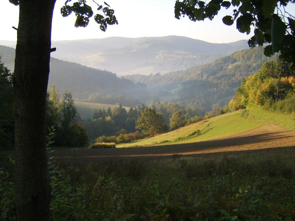 Agroturystyka Millerowka Kamionka Mala  Luaran gambar