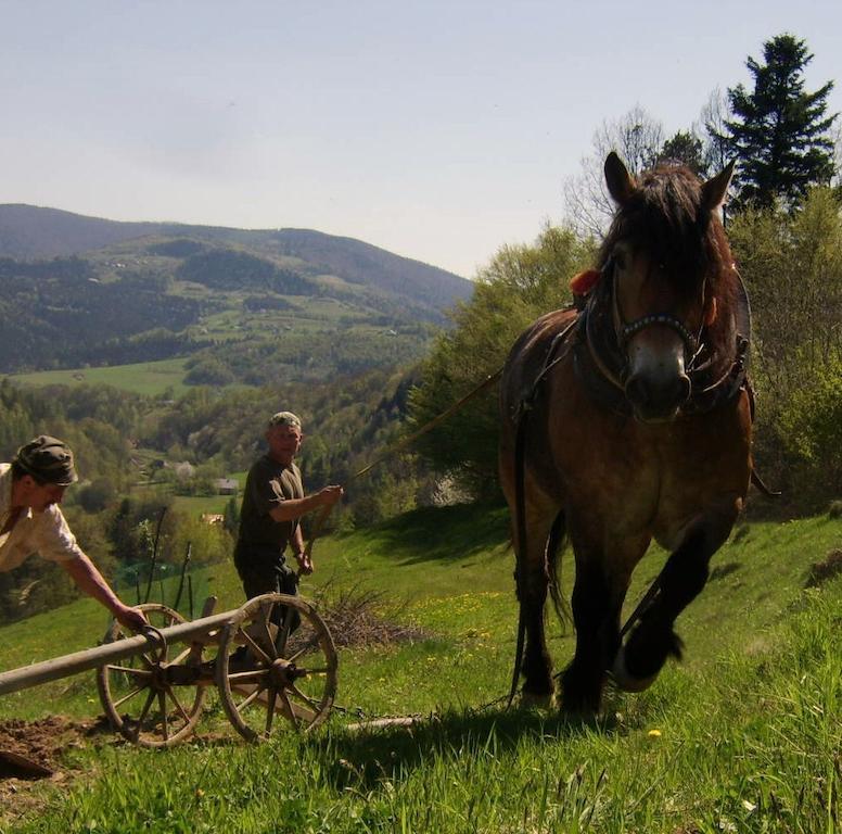 Agroturystyka Millerowka Kamionka Mala  Luaran gambar
